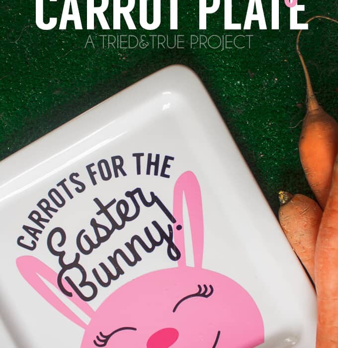 Make this cute Easter Bunny Carrot Plate for a fun Easter tradition! Includes free cutting files!