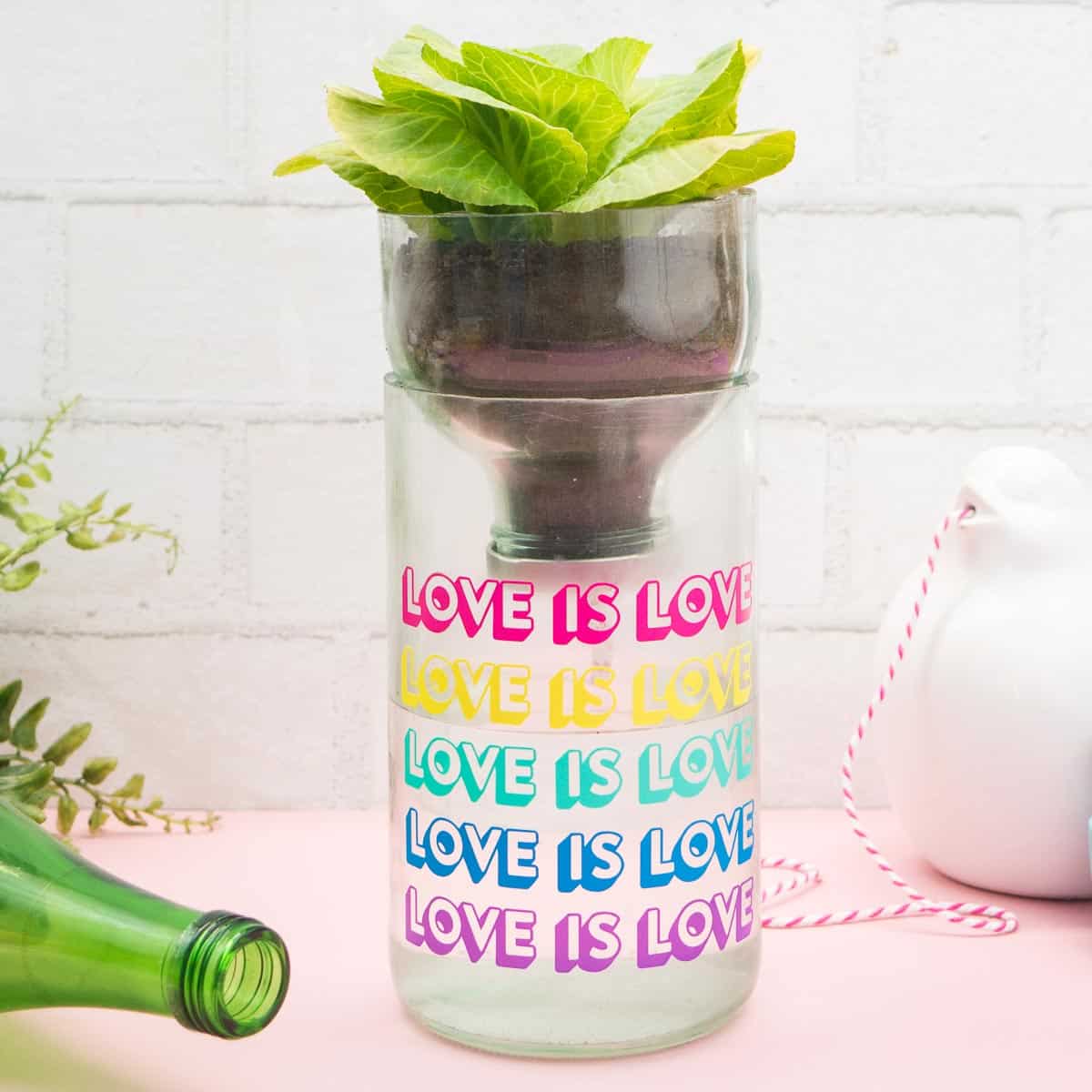 Recycled Self Watering Planter DIY